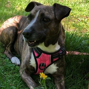 Meet your Posher, Kalin